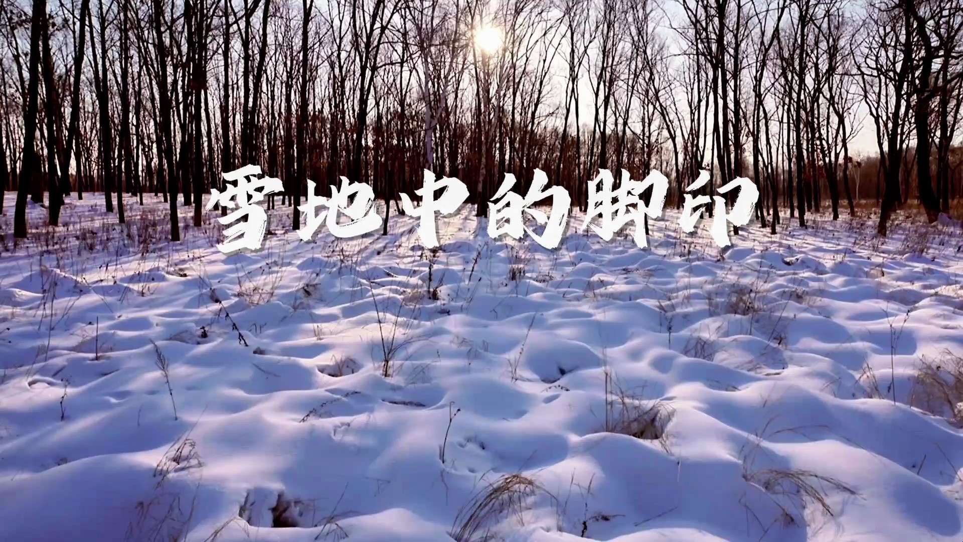 雪地中的脚印哔哩哔哩bilibili