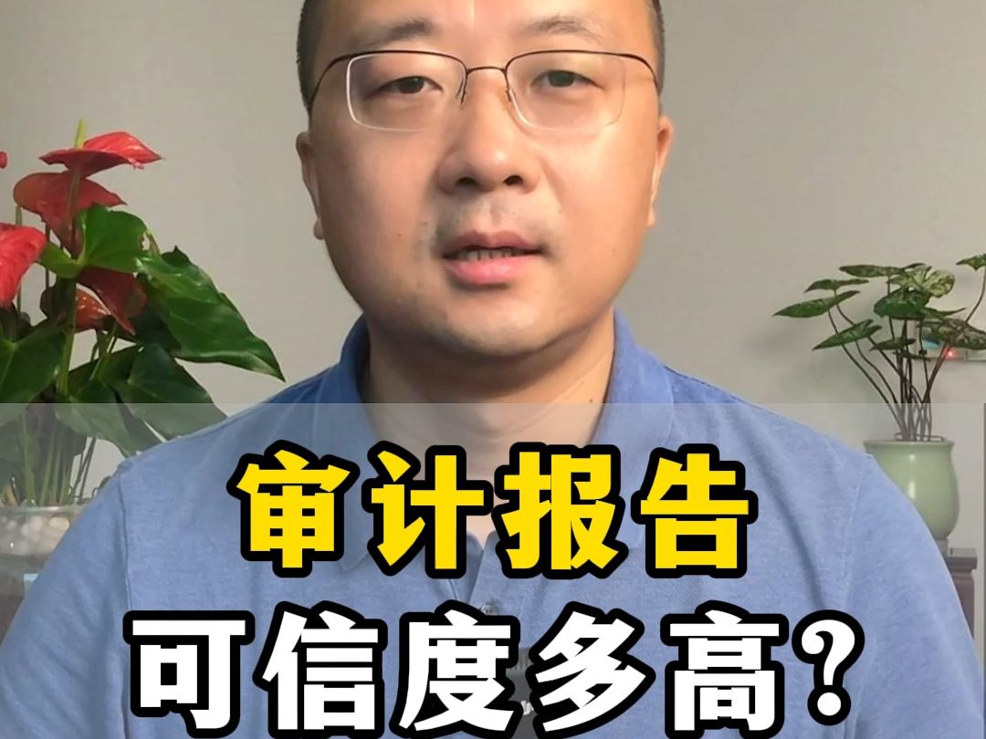 审计报告可信度多高?哔哩哔哩bilibili