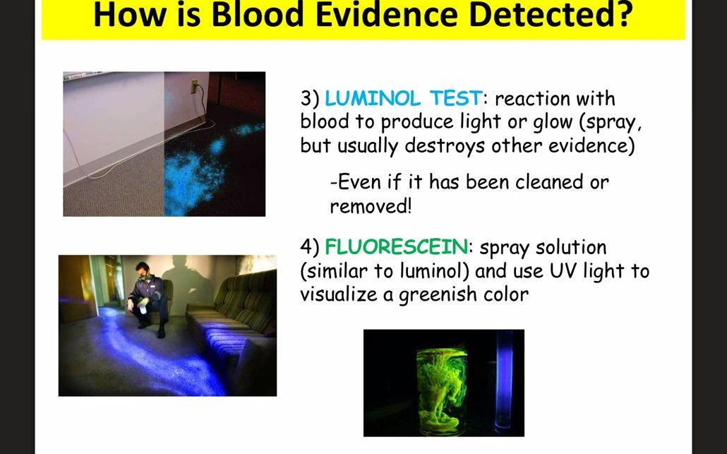 [图]血迹喷溅笔记法医刑侦科学 Blood_Spatter_Notes_Forensics