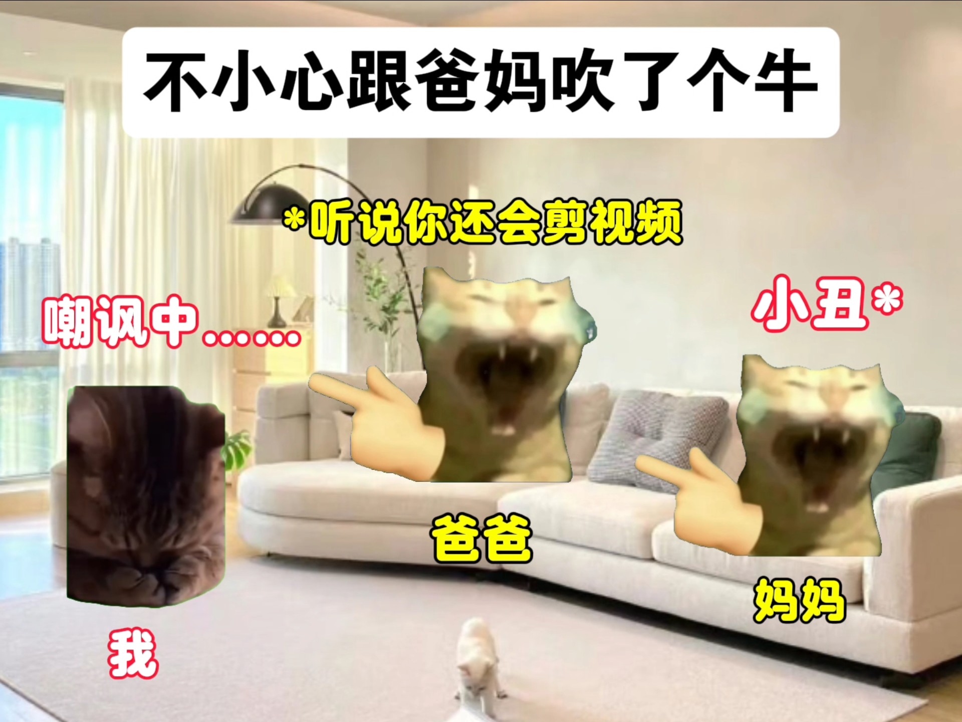 不小心跟爸妈吹了个牛-猫meme日常哦-猫meme日常哦-哔哩哔哩视频