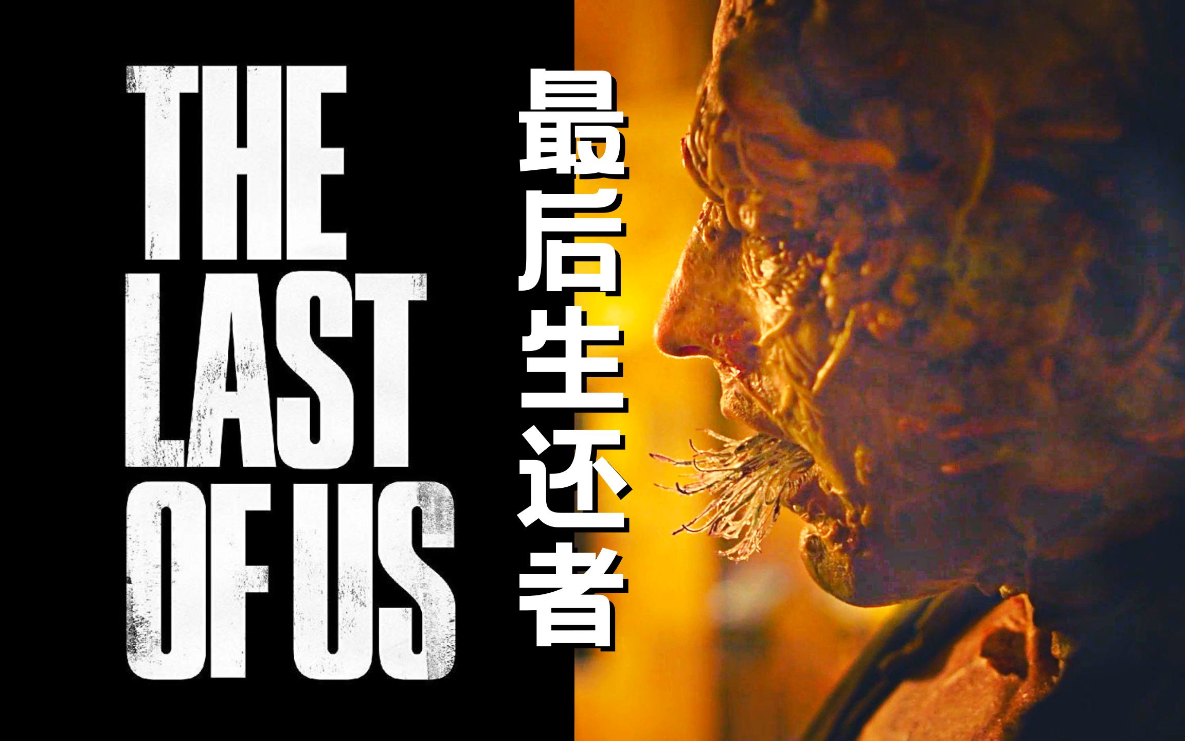 末世生存手册,带你了解《最后生还者》每种感染者与人类阵营