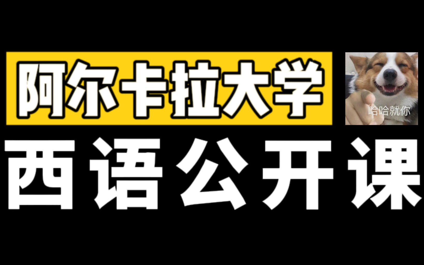 【西语入门】阿尔卡拉大佬全教程从零基础到入门,全程干货,无废话,这么详细还学不会?不会你来找我!!!哔哩哔哩bilibili