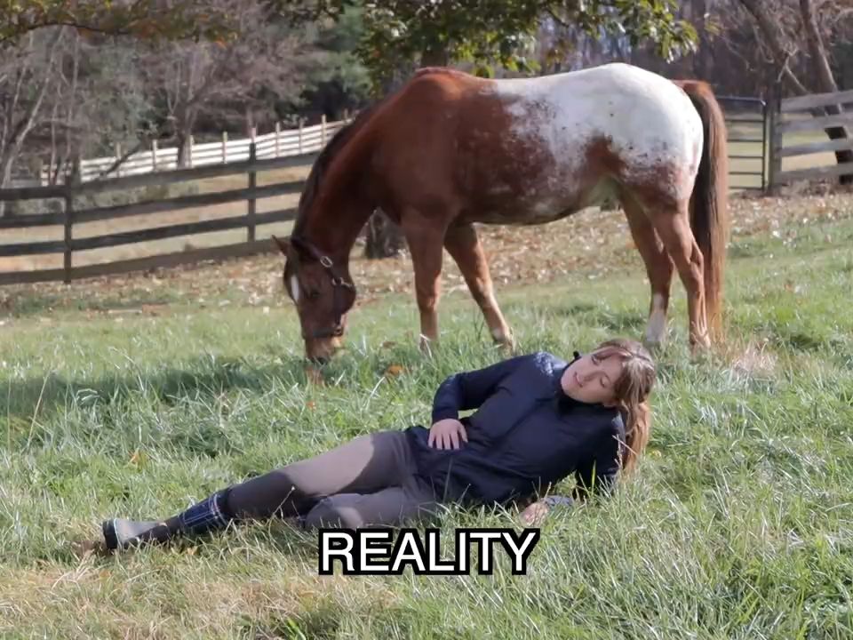 电影中的马儿vs现实生活中的马~!HORSES IN MOVIES VS HORSES IN REAL LIFE parody 𐟘‚哔哩哔哩bilibili