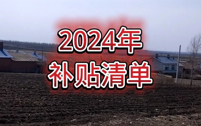 2024年补贴清单!哔哩哔哩bilibili