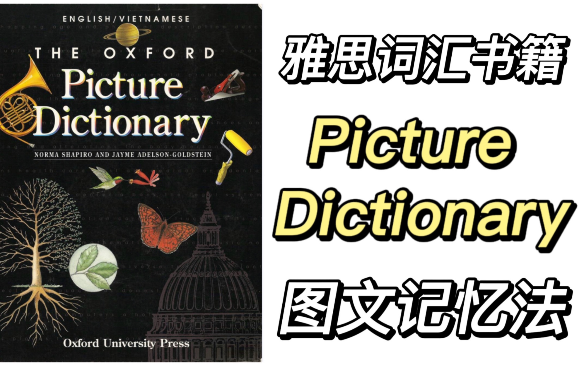 [图]雅思词汇书籍——picture Dictionary！！图文记忆法巩固单词记忆！记单词困难户必备