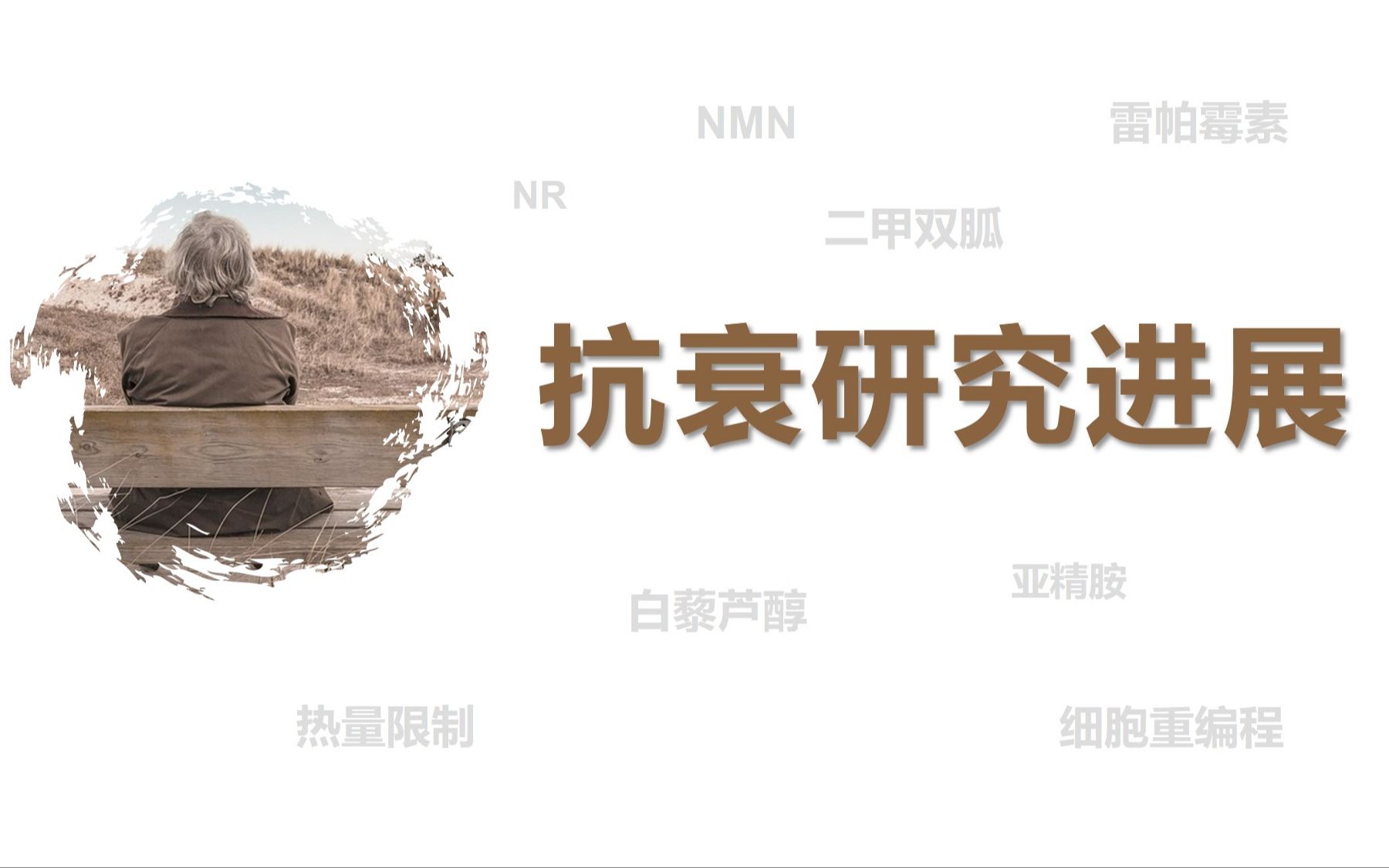 维霉素片的功效与作用(维霉素片:强效抗菌,缓解感染症状)