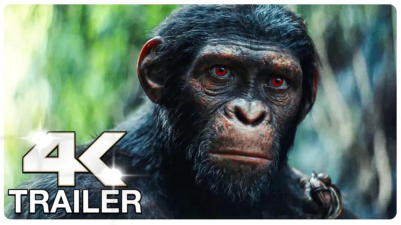 【影视】【4k】《猩球崛起4:王国》 | 正式先导预告 | 凯撒|youtube