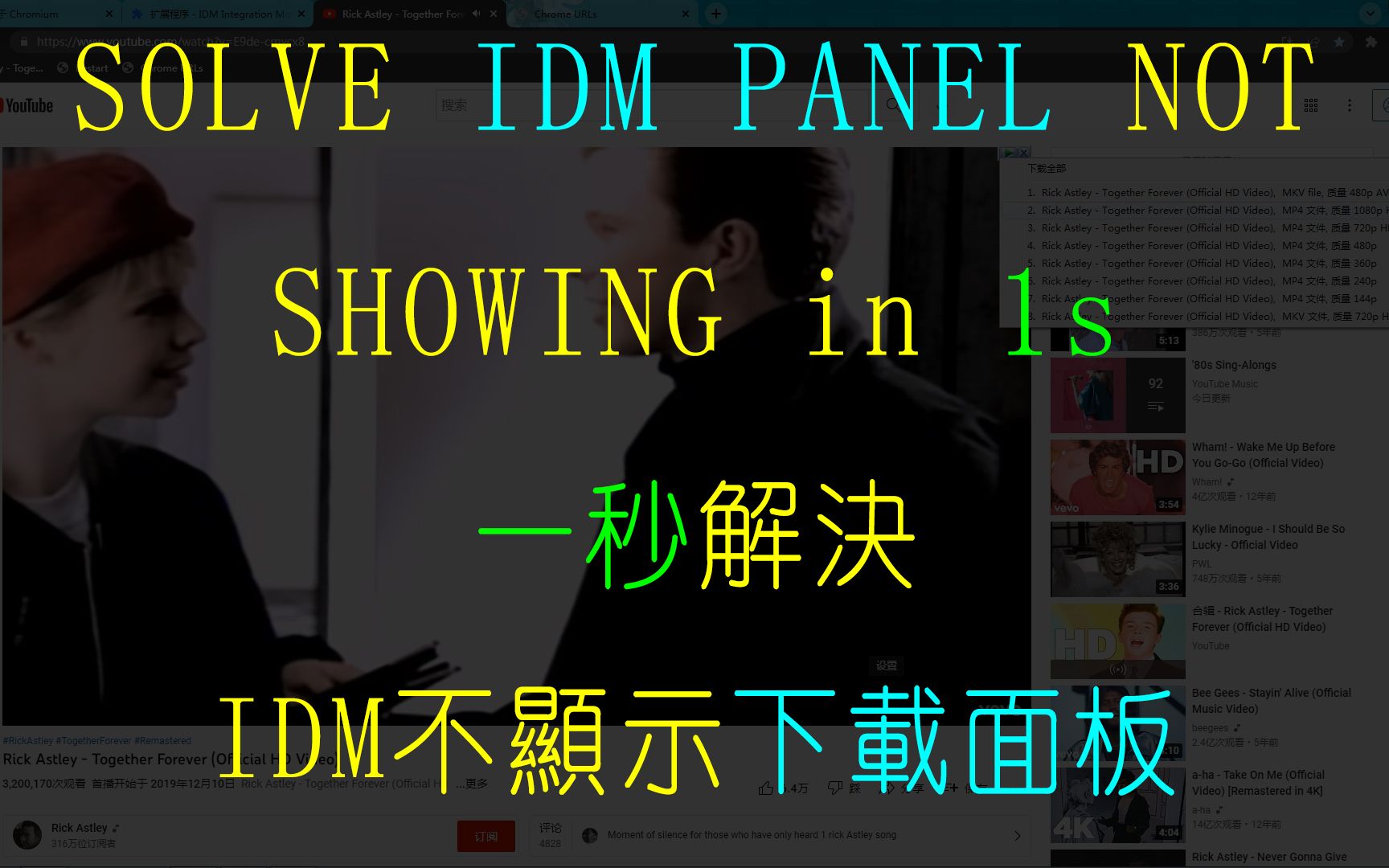 【IDM】一秒解决IDM下载面板不显示的问题(solution for IDM Download Panel not showing in Chrome)哔哩哔哩bilibili