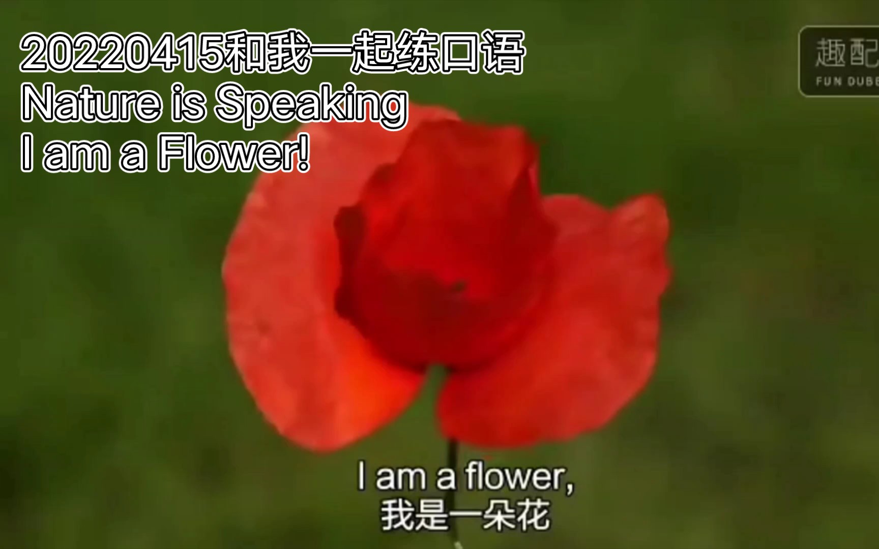 [图]20220415和我一起练口语-Nature is Speaking (I am a Flower)