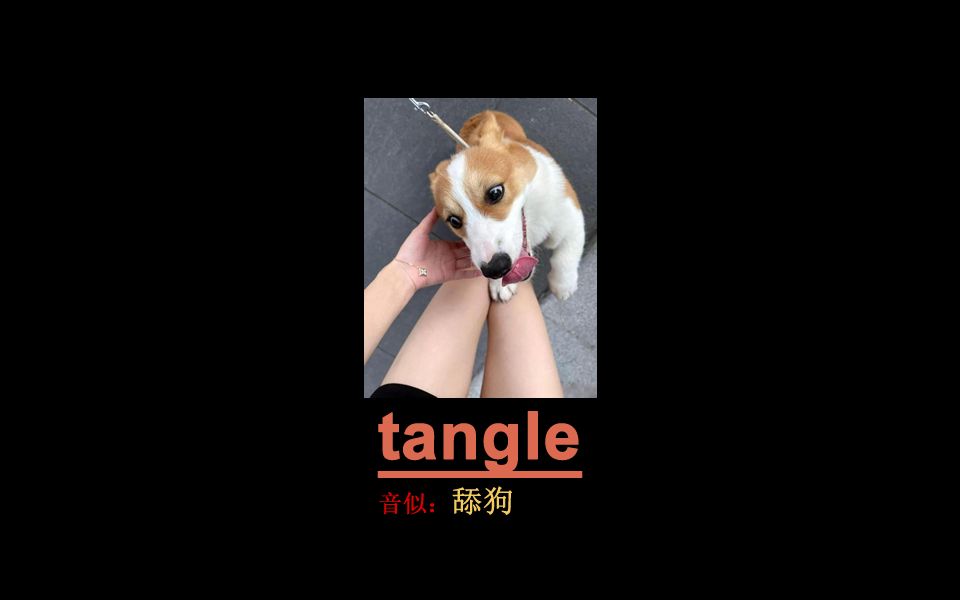 一秒记单词tangle哔哩哔哩bilibili