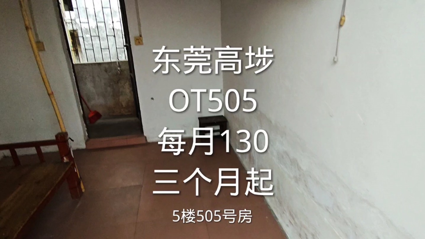 单间130,高埗OT505哔哩哔哩bilibili