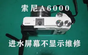 Download Video: 索尼A6000进水维修