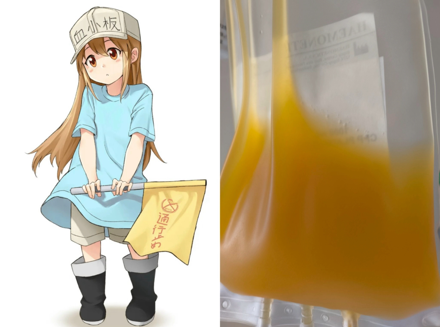 一单位血小板的样子