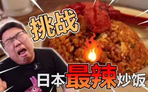 Descargar video: 挑战日本最辣炒饭！一口下去人麻了!