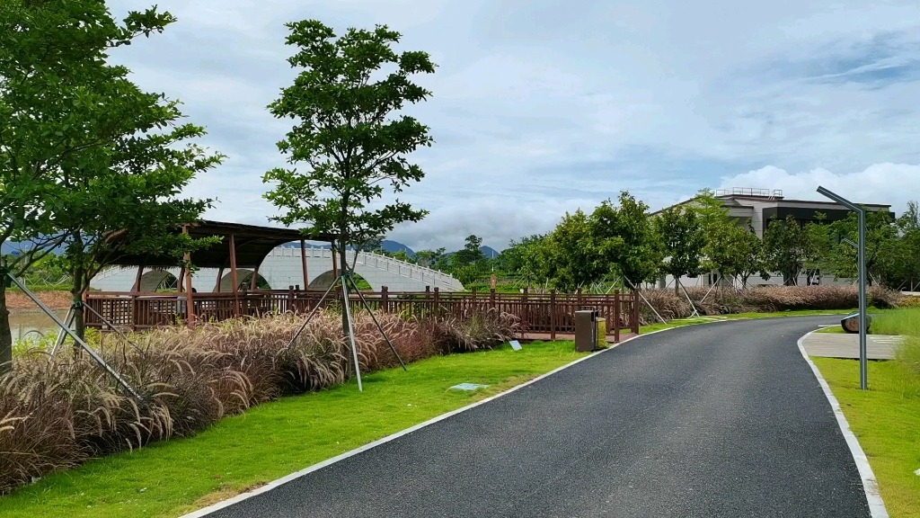 深圳大鹏新区新大河禾塘湿地公园