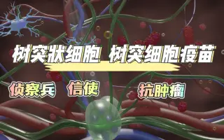 树突状细胞 搜索结果 哔哩哔哩 Bilibili