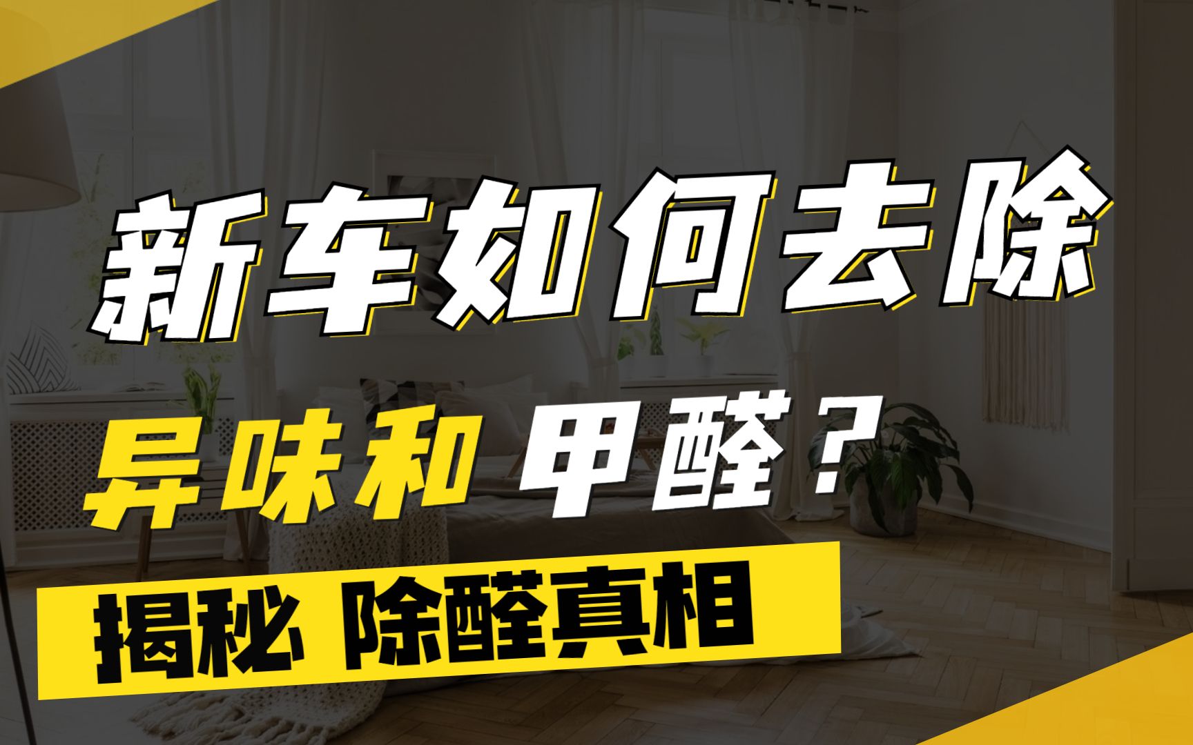 快速清除新车里的味道小妙招(怎么清除新车里的气味)