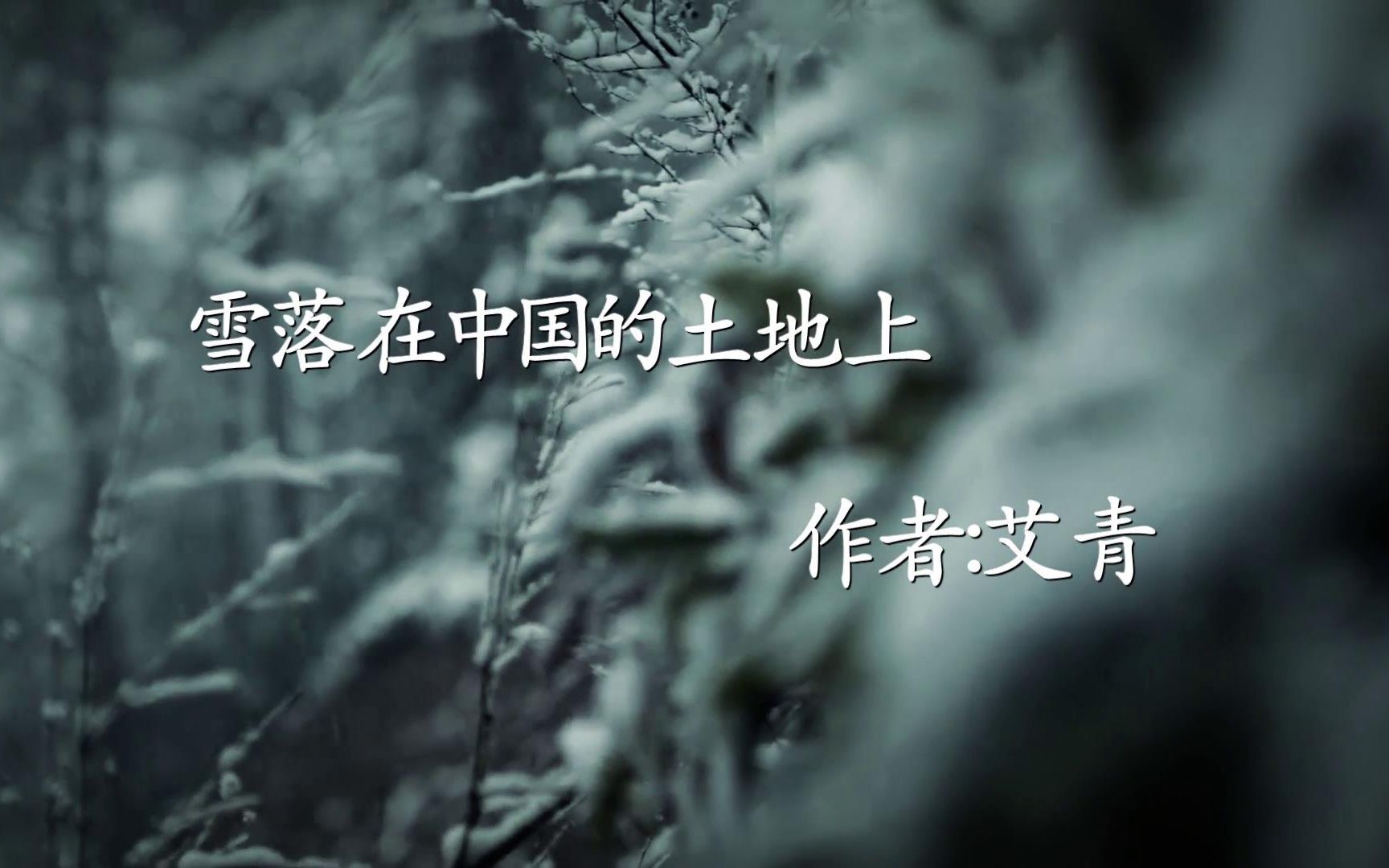 《雪落在中国的土地上》,背景视频哔哩哔哩bilibili