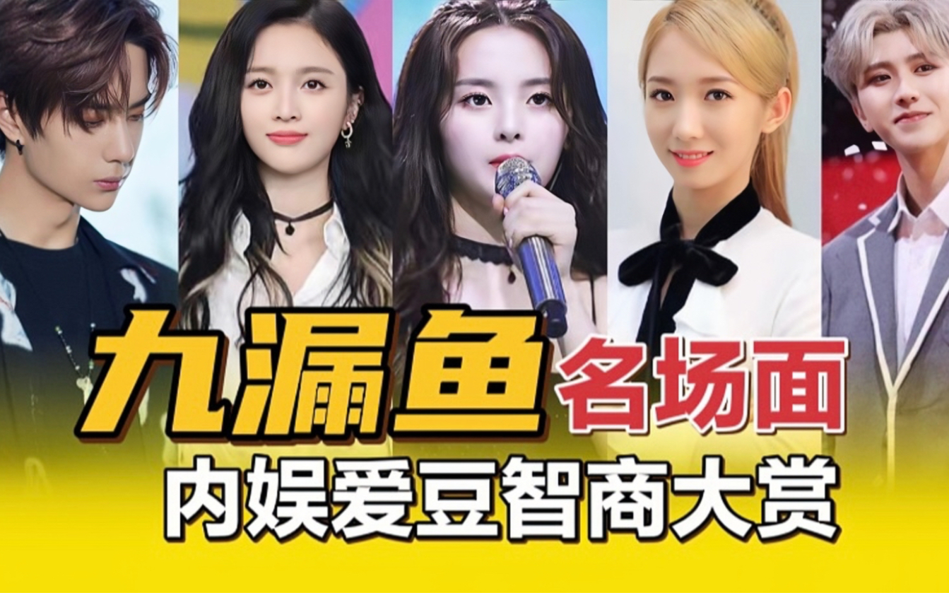 内娱爱豆九漏鱼大赏我国现存最大的智商盆地都窝藏了些啥