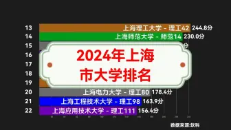 下载视频: 2024年上海市大学排名