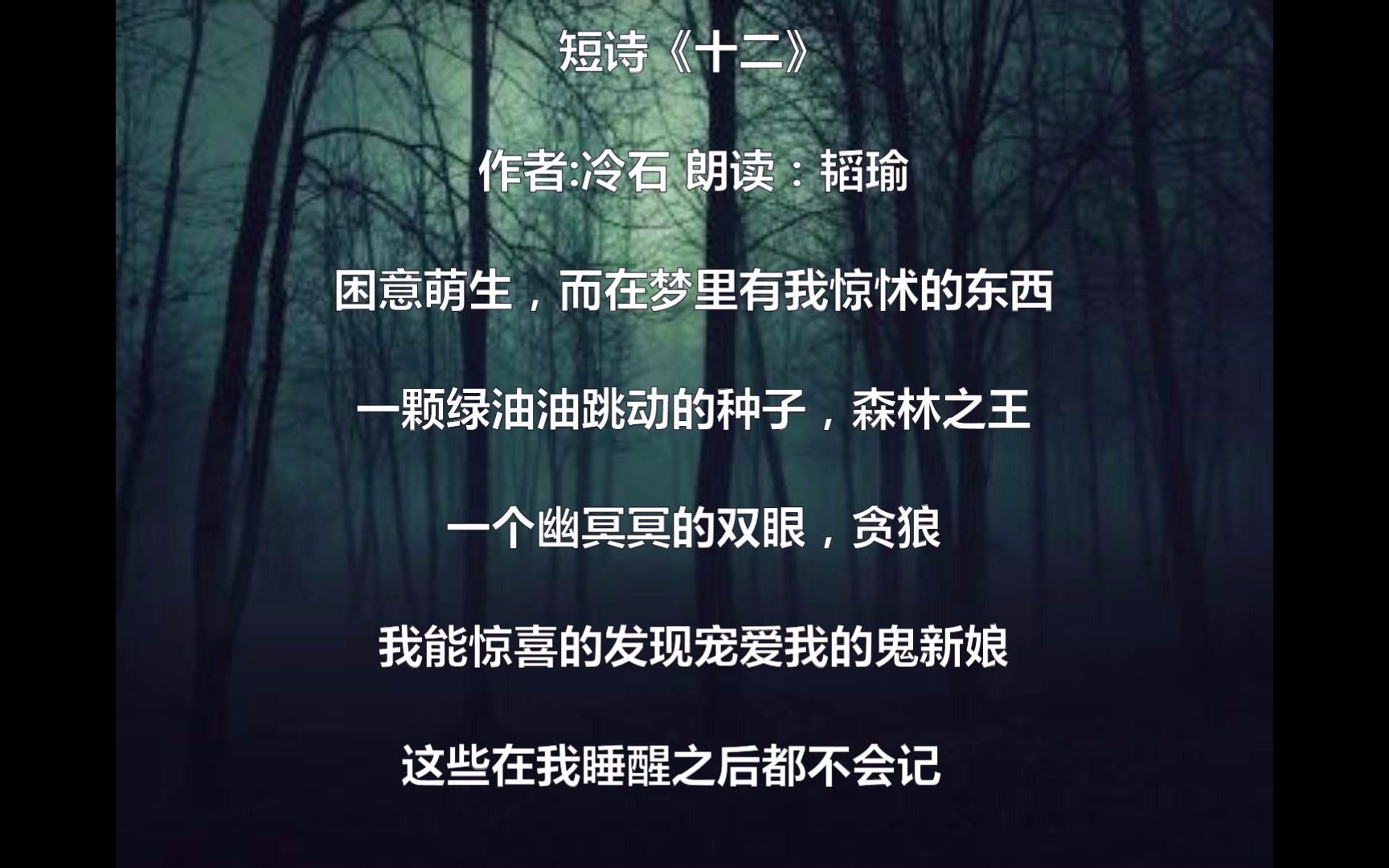 短诗《十二》哔哩哔哩bilibili