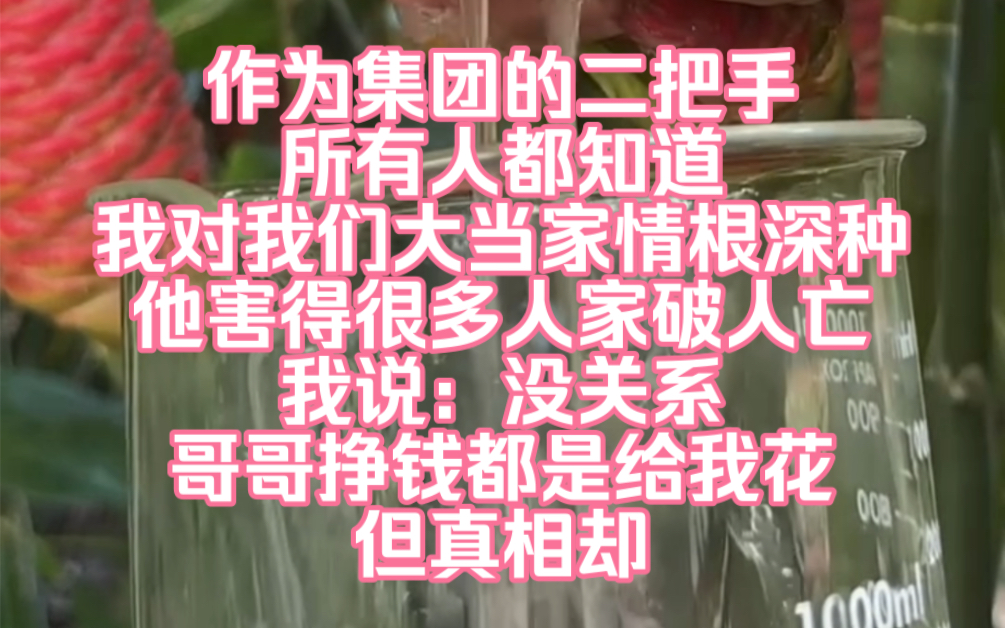 作为集团的二把手,所有人都知道我对我们大当家情根深种,他害得很多人家破人亡,我说:没关系哥哥挣钱都是给我花,他们骂我不过是大当家的一条狗....