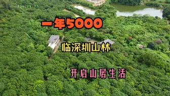 Download Video: 一年5000，临深圳租下一片山林，打造向往的山居梦想生活