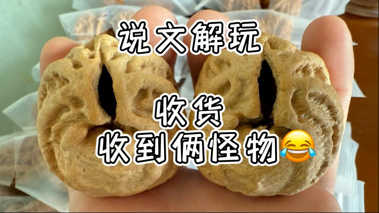 鬼脸核桃_哔哩哔哩_bilibili