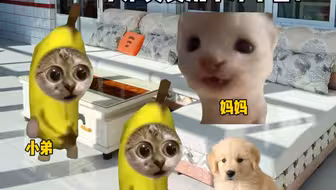 当我第一次带女朋友回家