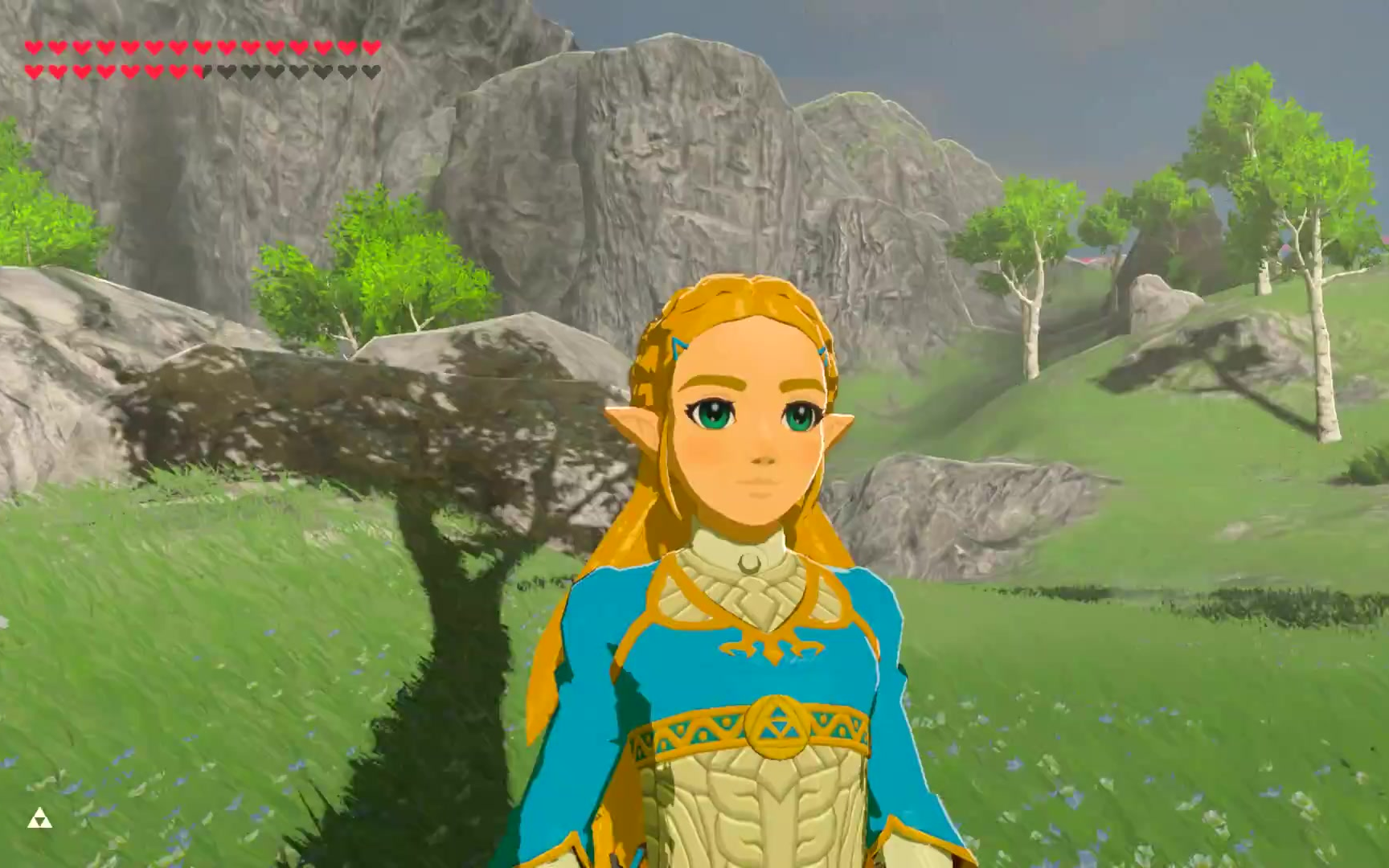 zeldas royal dress