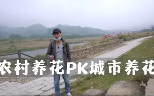 Télécharger la video: 农村养花PK城市养花，哪种生活更好？看看农村顶尖民宿养的花