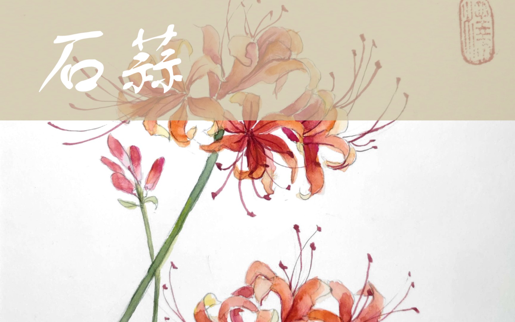 [水彩]水彩石蒜