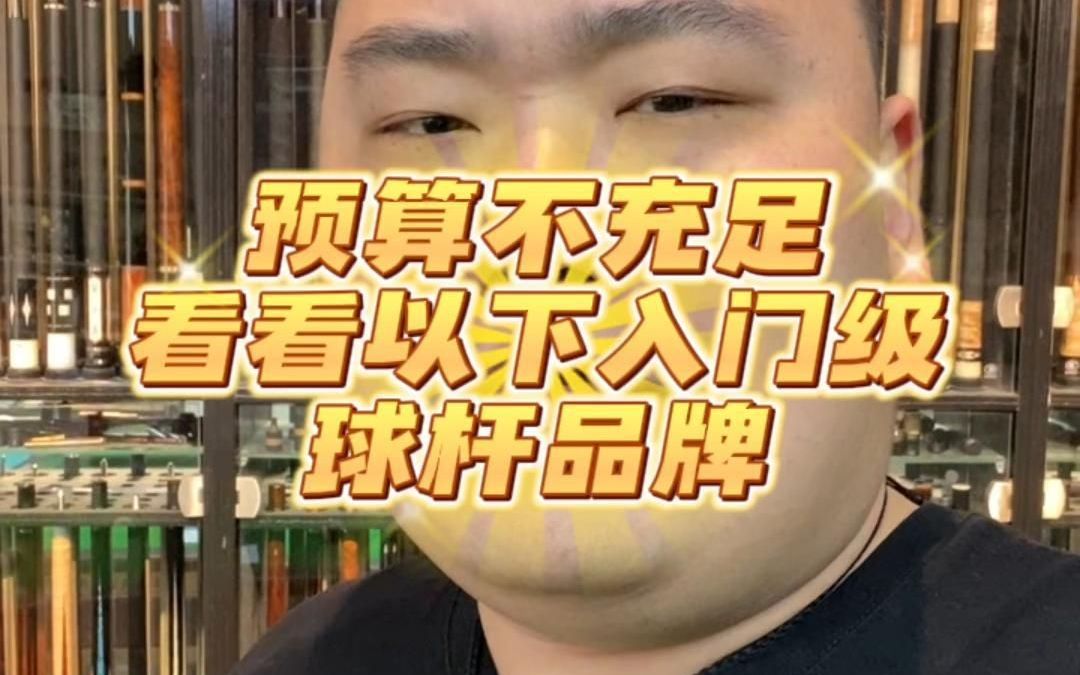 预算不充足看看以下入门级球杆品牌哔哩哔哩bilibili