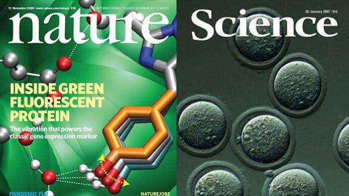 2分钟速览,世界三大科学期刊网站最新头条!NATURE,SCIENCE,CELL哔哩哔哩bilibili