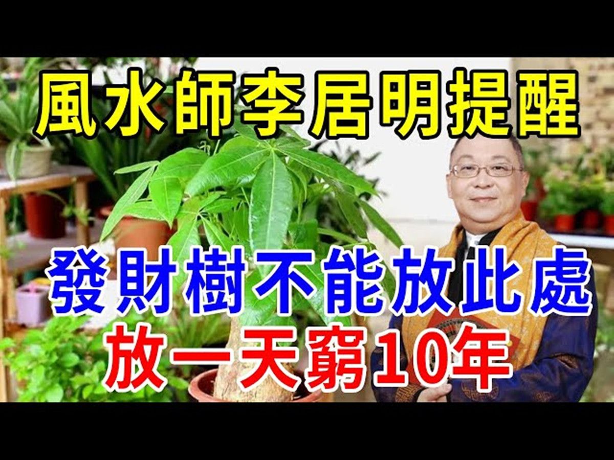 [图]風水師李居明提醒：發財樹萬萬不能放此處，放一天窮10年，財運全跑仇人家！