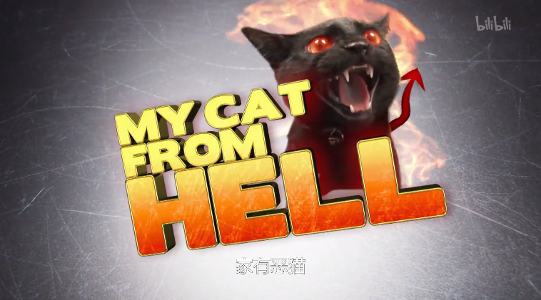 【纪录片】家有恶猫 第四季--my cat from hell (season 4) 01-名字太