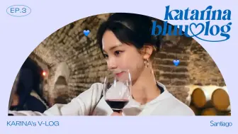 Descargar video: 【aespa】斑马🦓, 狮子🦁, 还有KARINA💙 | KARINA in Santiago | katarinabluu-log