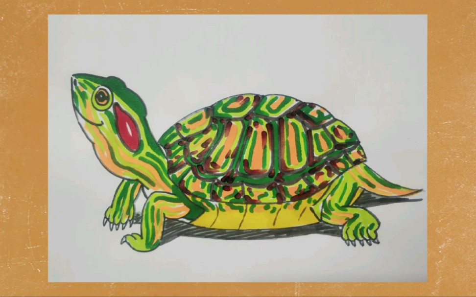 巴西龟简笔画图片图片
