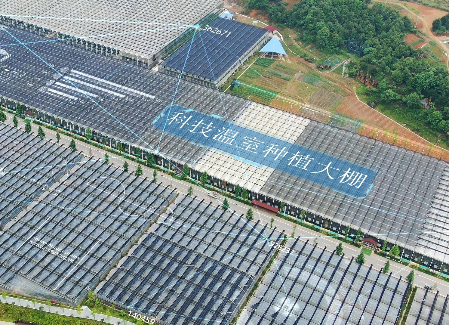 现代化农业种植1