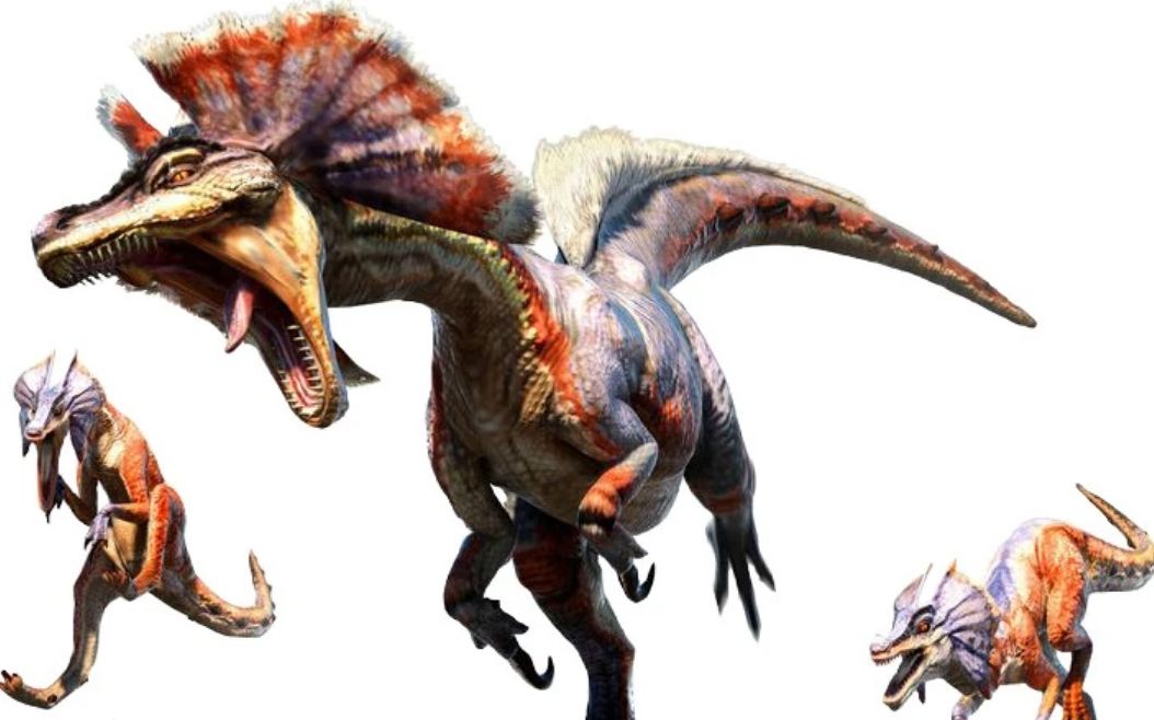 怪物猎人3g 从零开始之村下位 狗龙