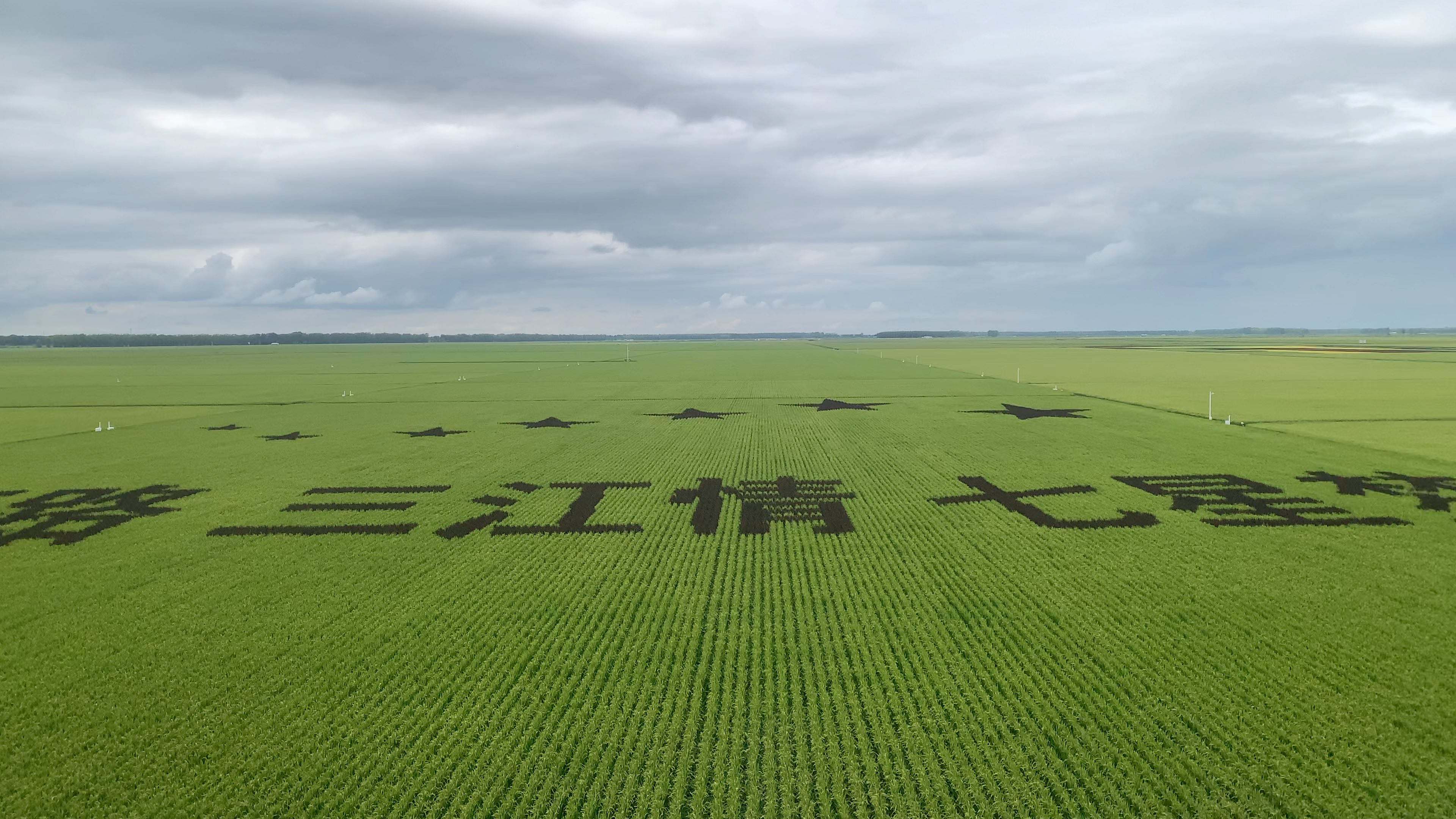 建三江 万亩大地号 视频拍不出肉眼看到的感觉