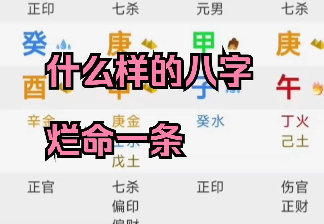 什么样的八字烂命一条哔哩哔哩bilibili