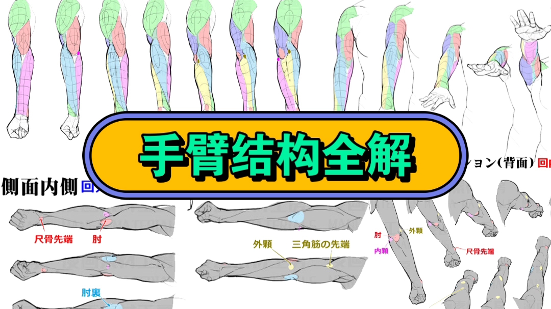 最全最详细手臂结构全解!萌新小白快看!哔哩哔哩bilibili