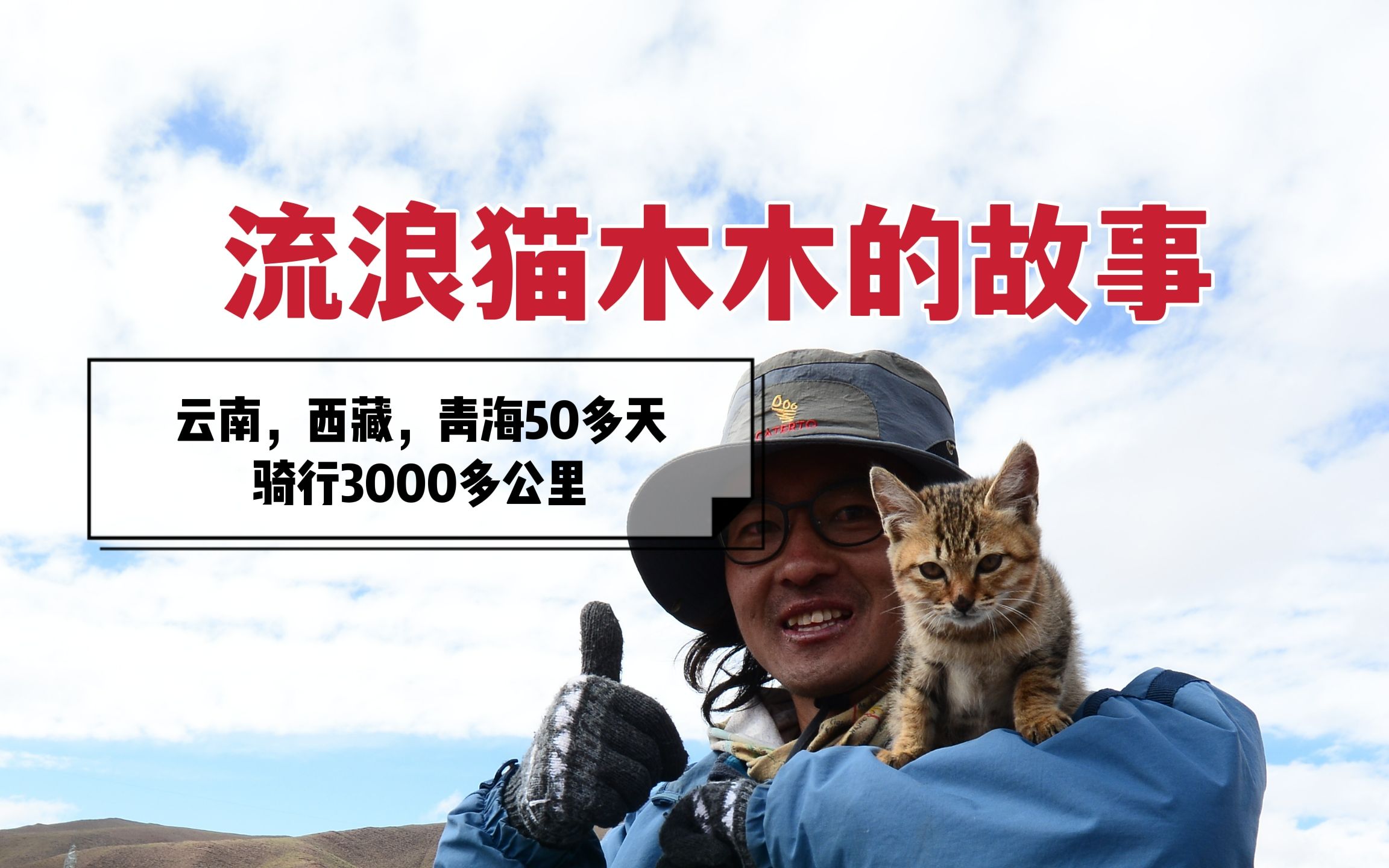 流浪猫木木跟我骑行3000多公里,一起坐火车回山东哔哩哔哩bilibili