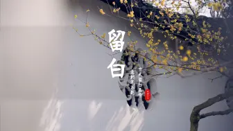 下载视频: 有一种美，叫中式留白