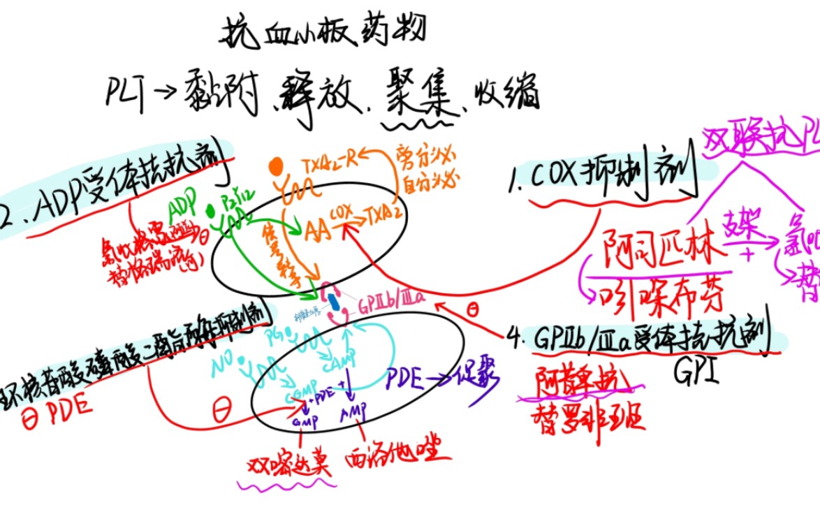 抗血小板药物机制(4类常见药)