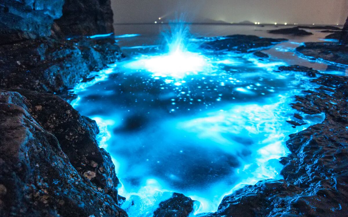 你见过会发光的海滩吗?