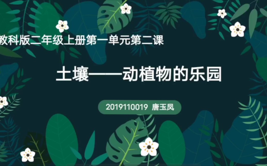 土壤——动植物的乐园哔哩哔哩bilibili