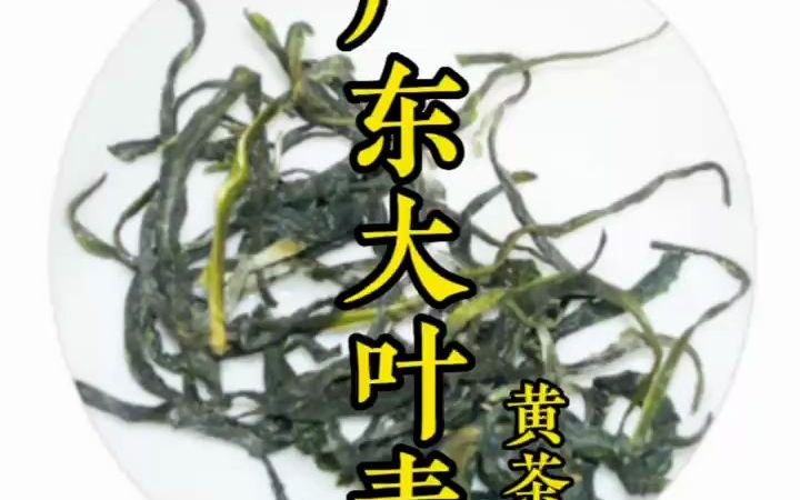 广东大叶青黄茶的好处与作用及特点有哪些、广东大叶青黄茶的冲泡方法哔哩哔哩bilibili