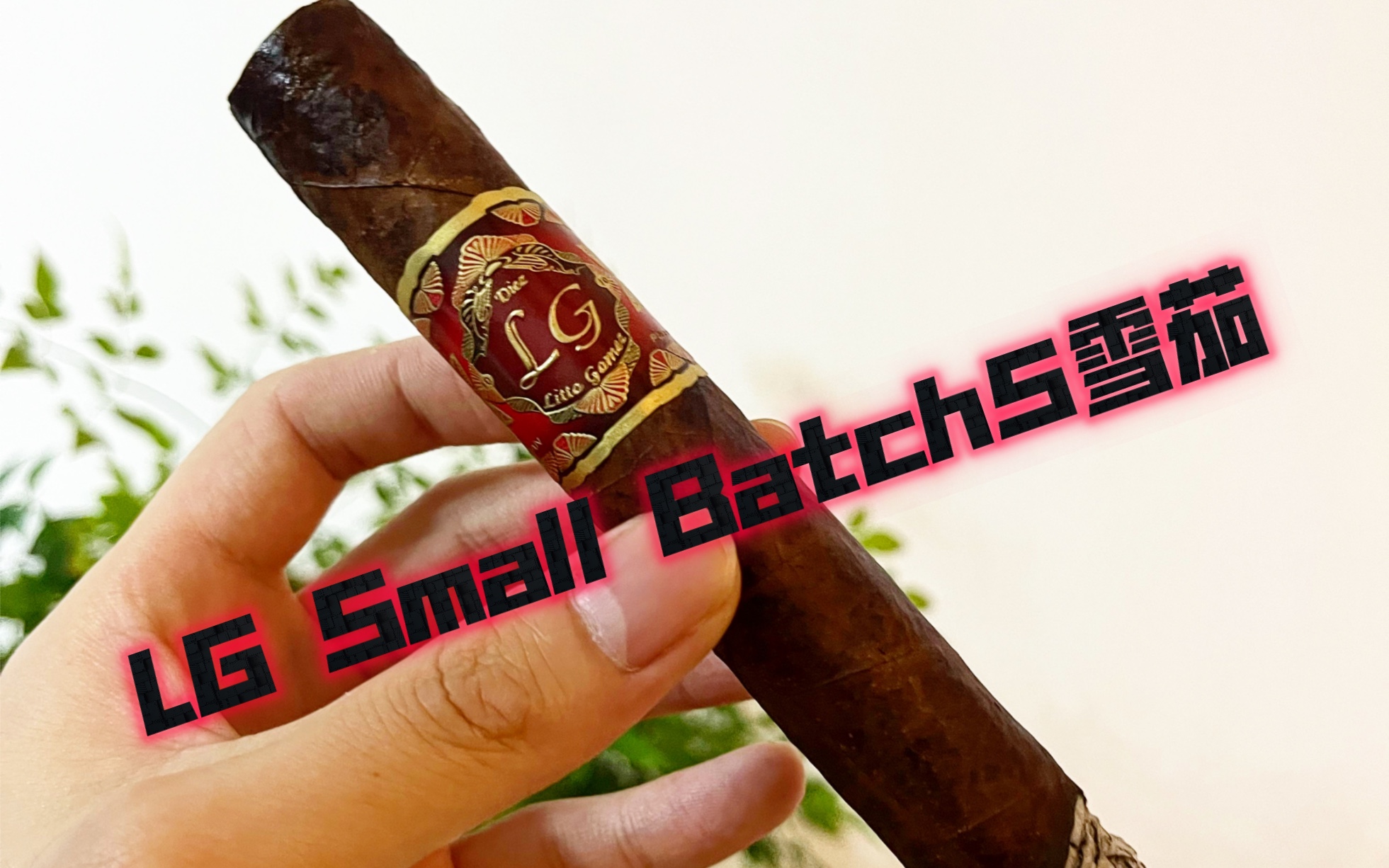 Litto Gomez Diez Small Batch No. 5雪茄品吸哔哩哔哩bilibili